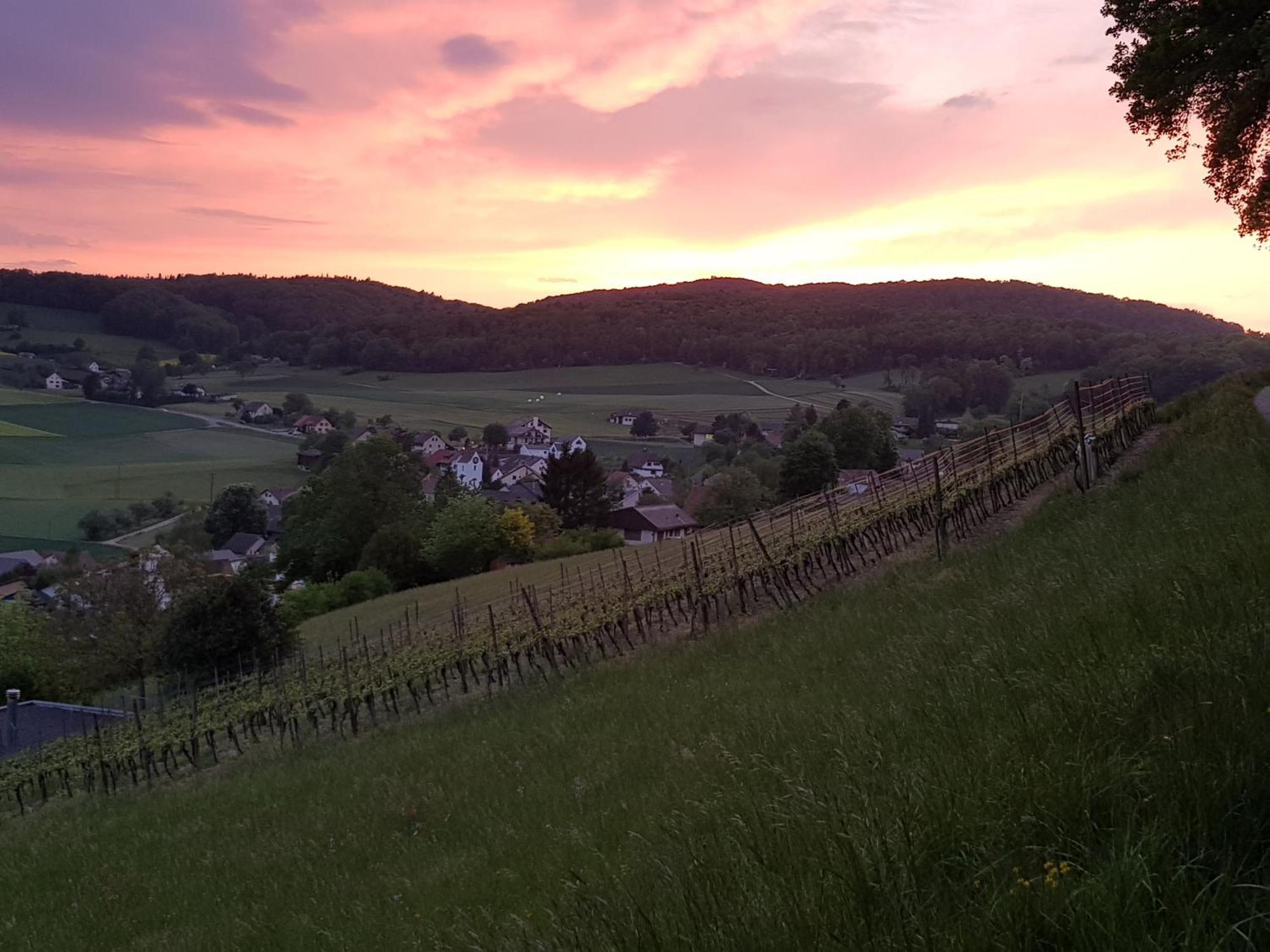 Bnb Moenthal Im Jurapark Luaran gambar